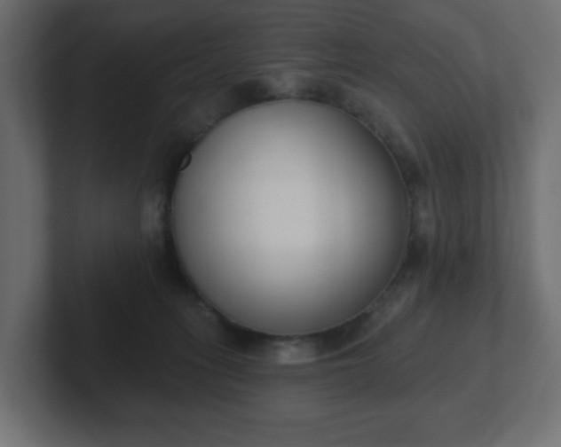 X0000103170275200808291516