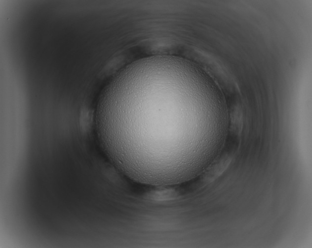 X0000103170278200808291516