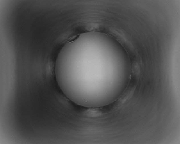 X0000103170280200808291516