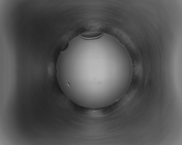 X0000103170283200808291516