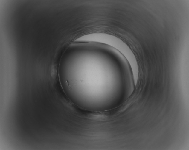 X0000103170284200808291516