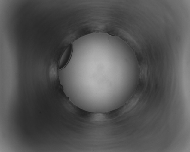 X0000103170287200808291516