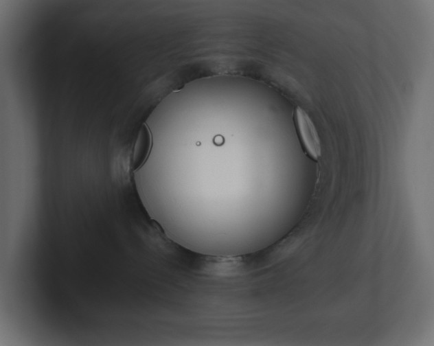 X0000103170288200808291516