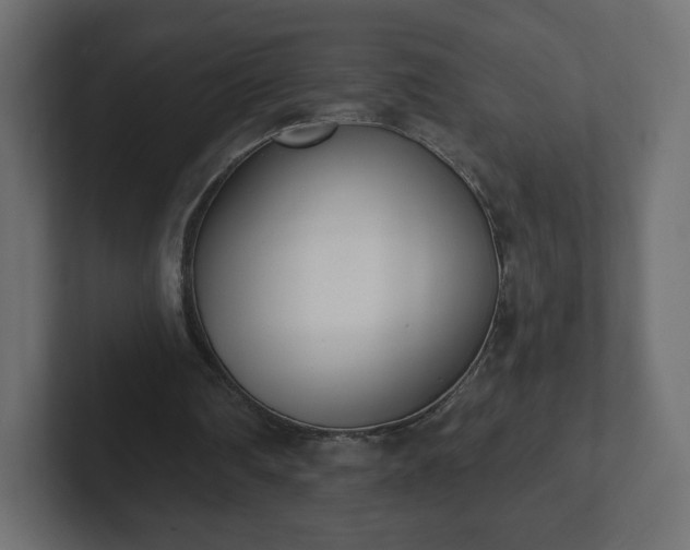 X0000103170290200808291516