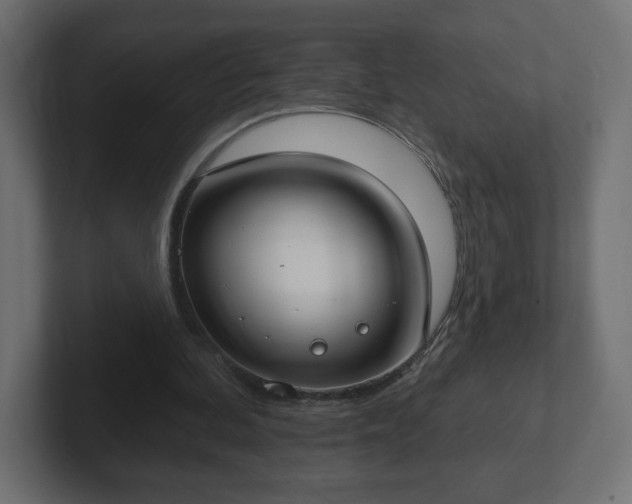 X0000103170292200808291516