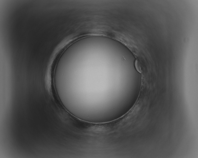 X0000103170294200808291516