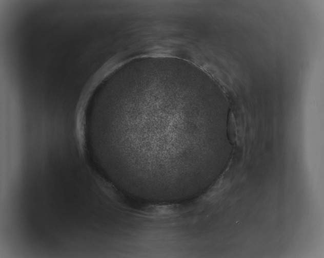 X0000103170295200808291516