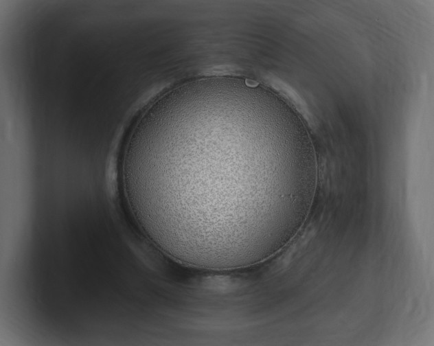 X0000103170298200808291516