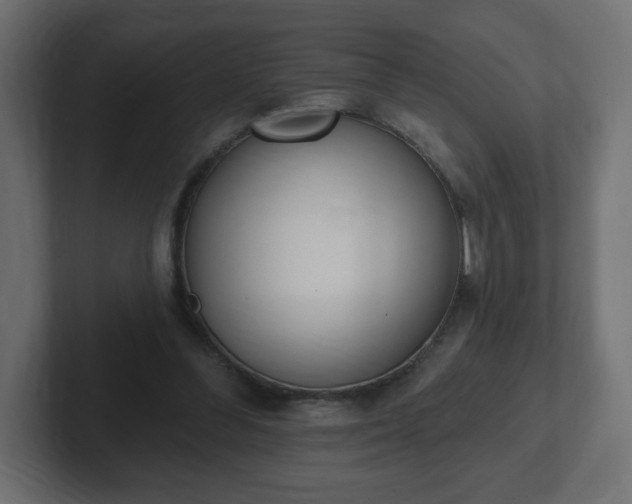 X0000103170300200808291516