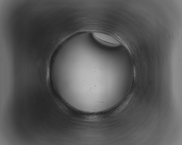 X0000103170301200808291516