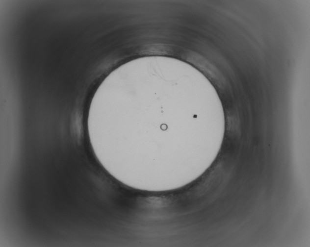 X0000103170302200808291516