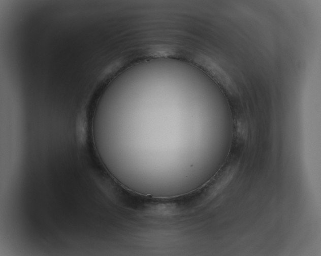 X0000103170304200808291516