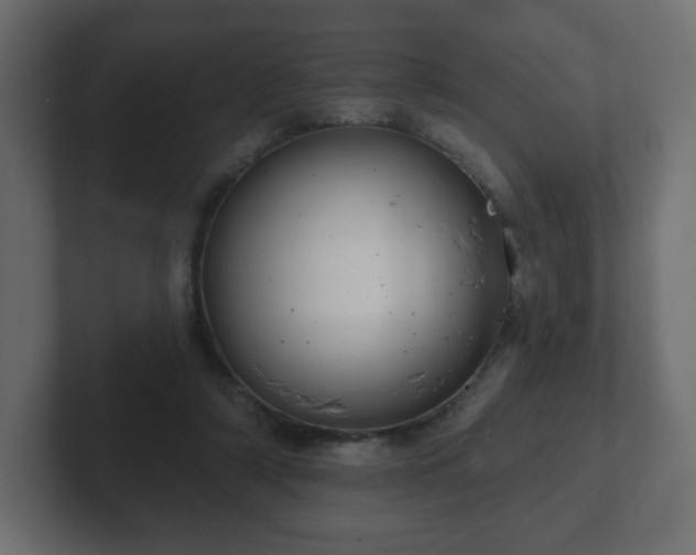 X0000103170306200808291516