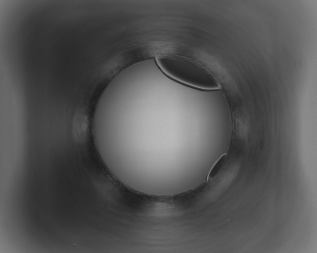 X0000103170308200808291516