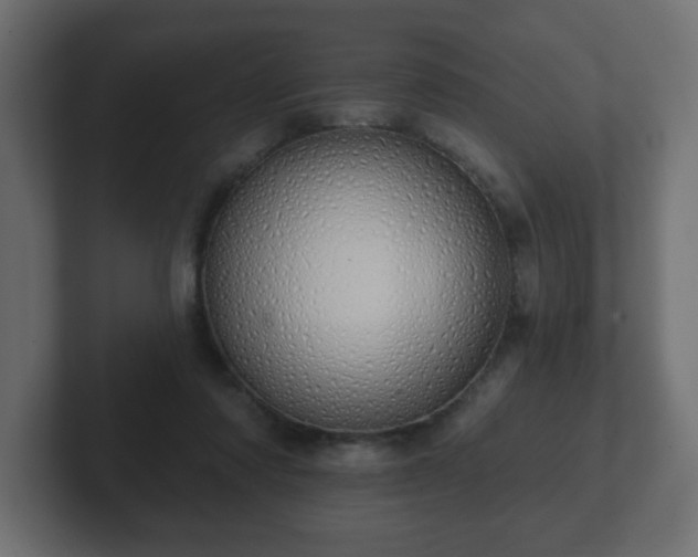 X0000103170310200808291516