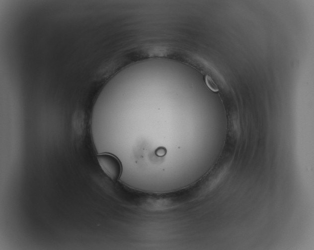 X0000103170311200808291515