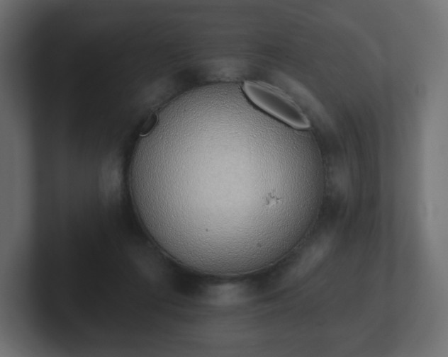 X0000103170312200808291515