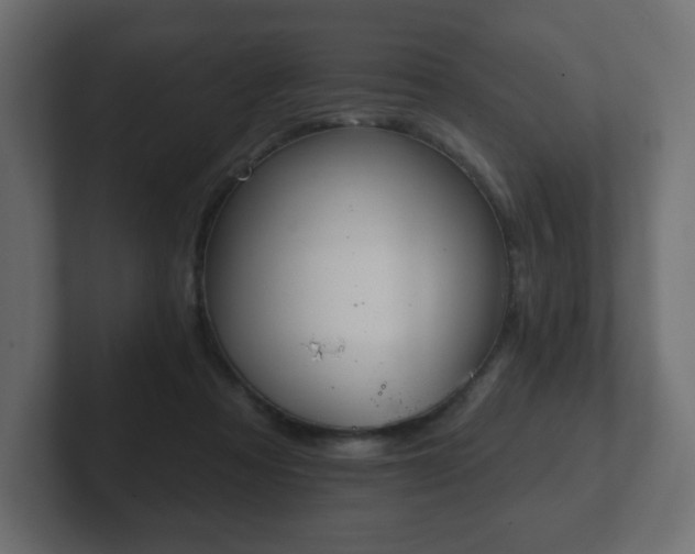 X0000103170313200808291515