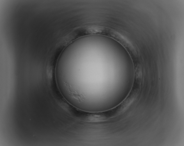 X0000103170315200808291515