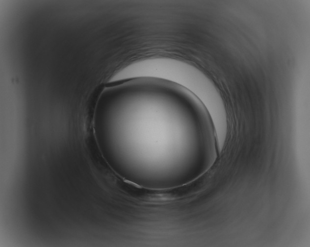 X0000103170316200808291515