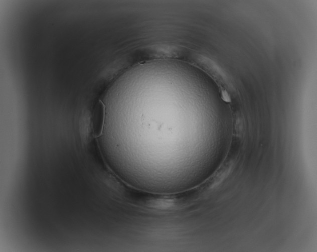 X0000103170318200808291515