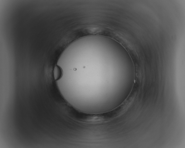 X0000103170319200808291515