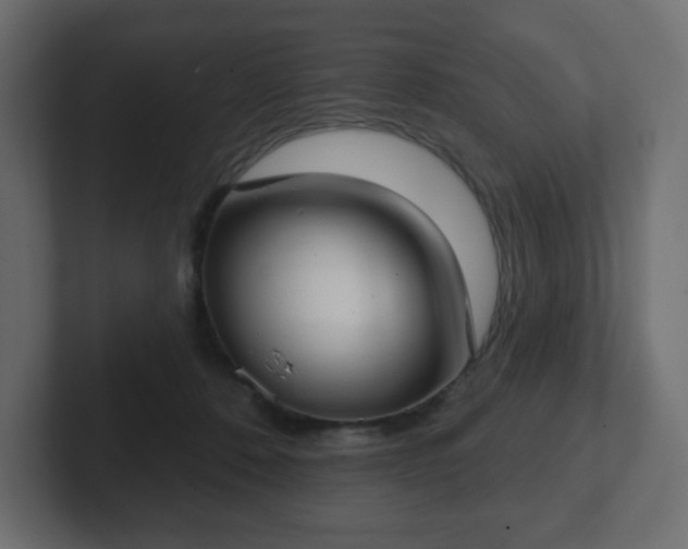 X0000103170320200808291515