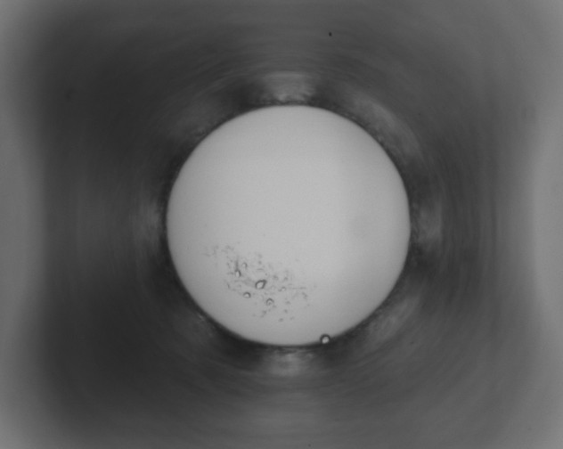 X0000103170321200808291515