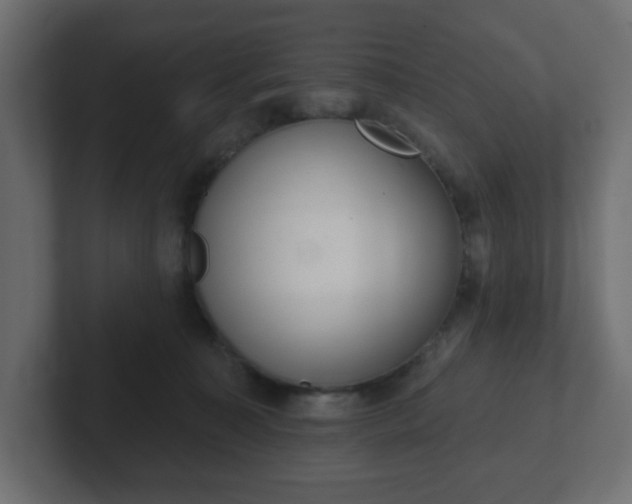 X0000103170323200808291515