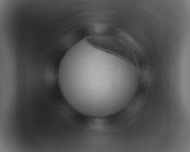 X0000103170324200808291515