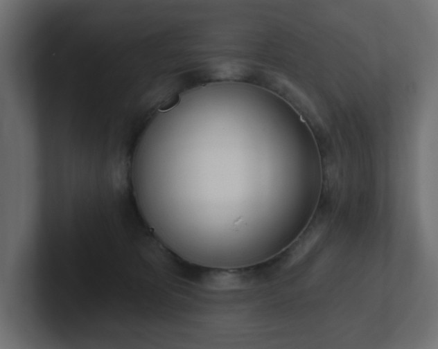 X0000103170325200808291515