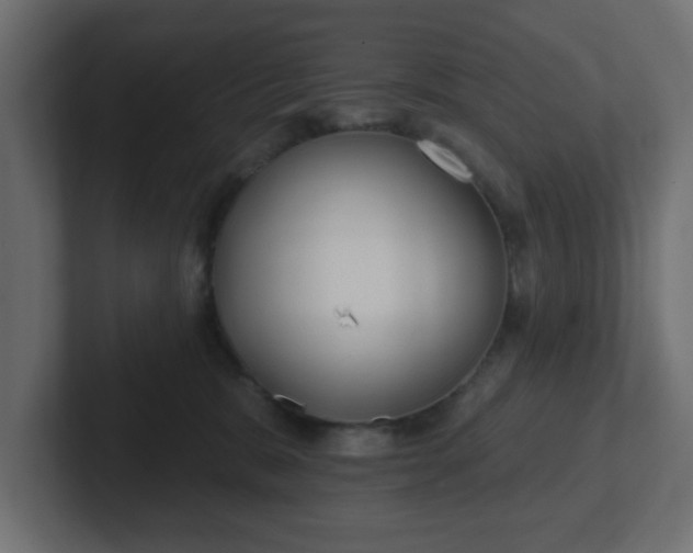 X0000103170327200808291515