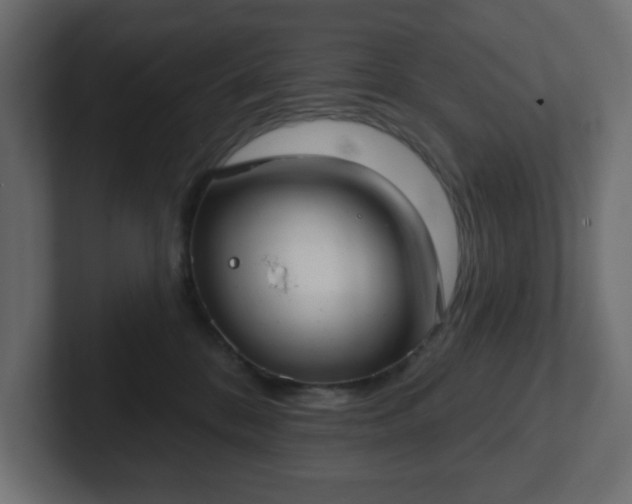 X0000103170328200808291515