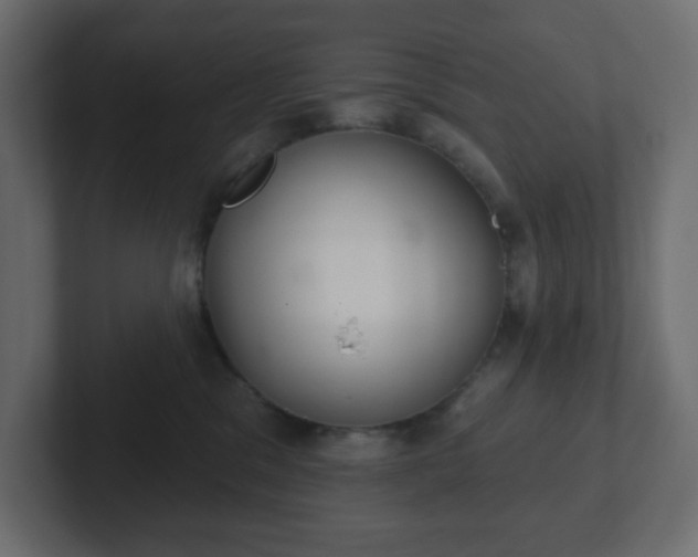 X0000103170329200808291515