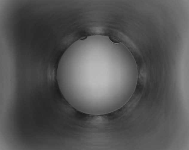 X0000103170330200808291515