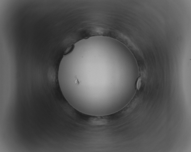 X0000103170331200808291515