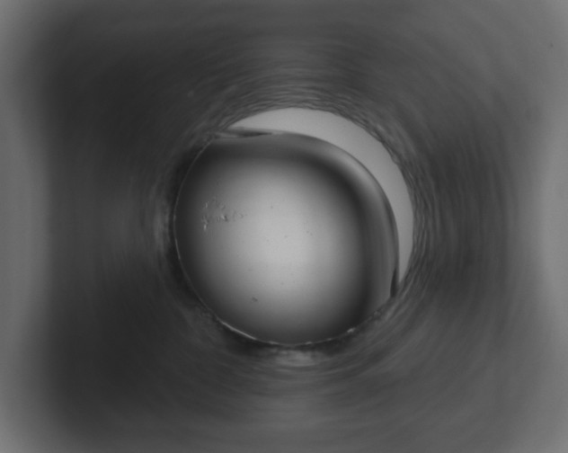 X0000103170332200808291515