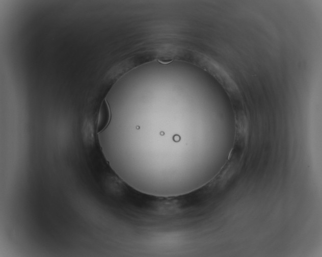 X0000103170333200808291515