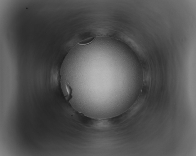 X0000103170334200808291515