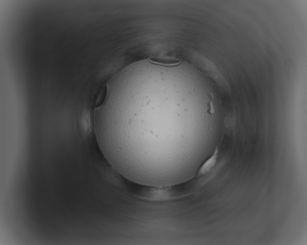 X0000103170335200808291515