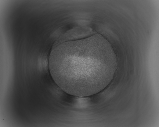 X0000103170336200808291515