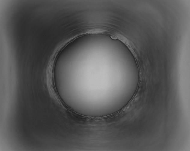 X0000103170337200808291514