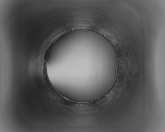 X0000103170338200808291514