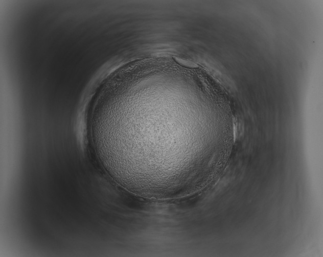 X0000103170339200808291514