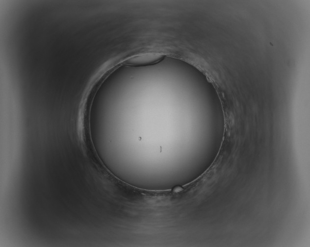 X0000103170340200808291514