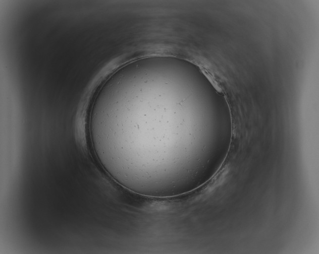 X0000103170341200808291514