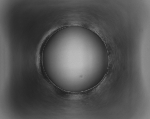 X0000103170342200808291514