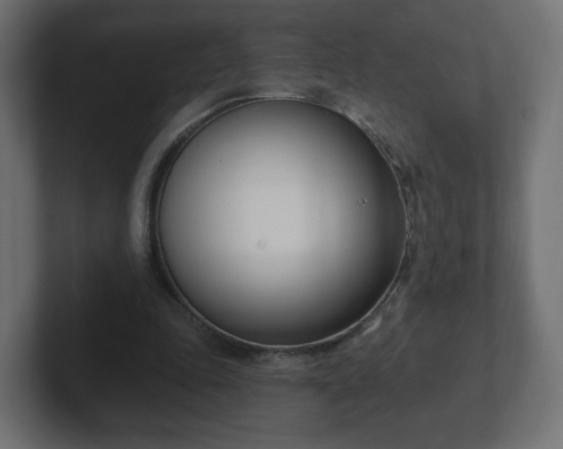 X0000103170343200808291515