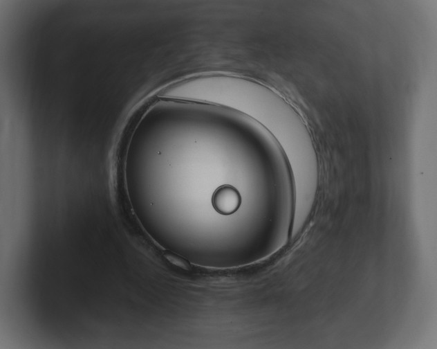 X0000103170344200808291515