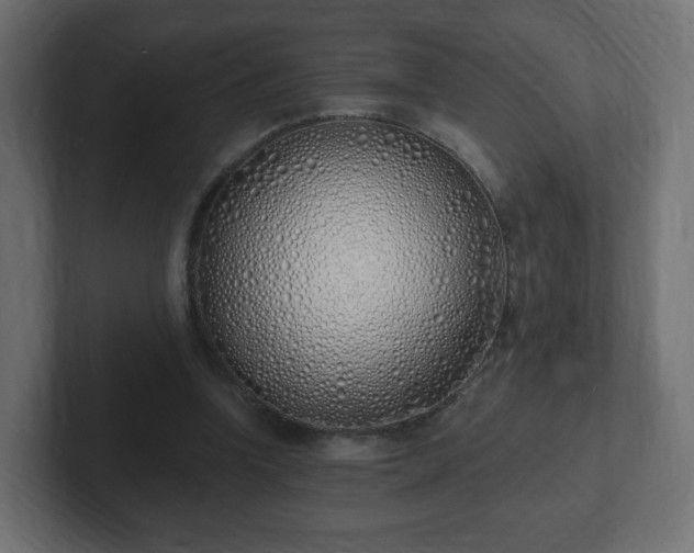 X0000103170346200808291515